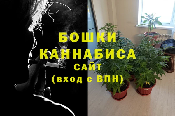 спиды Аркадак