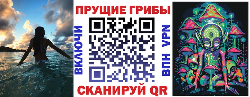 где продают наркотики  Боровск  Галлюциногенные грибы мицелий 